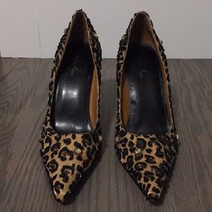 Wild Pair Leopard Pumps 🐆